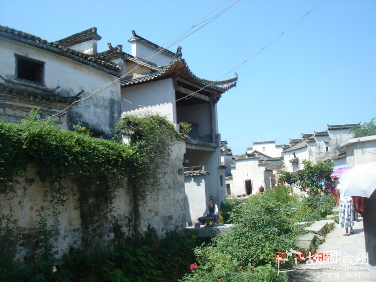 人口最多的少数民族_德化县人口最多的村